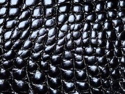Morceau de cuir crocodile véritable - noir - cuirenstock