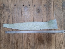Morceau de cuir crocodile véritable - vert kaki - Cuir en Stock