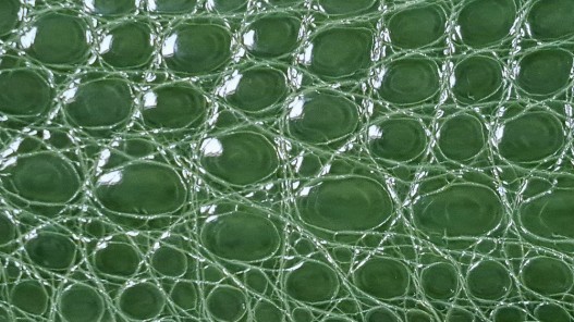 Morceau de cuir crocodile véritable - vert kaki - cuir en stock