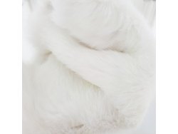 Cuir peau de lapin en poil Cuir en Stock Blanc