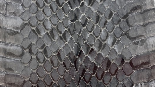 Peau de cuir de serpent véritable - serpent d'eau gris acier - accessoire - Cuir en stock