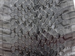 Peau de cuir de serpent véritable - serpent d'eau gris acier - accessoire - Cuir en stock