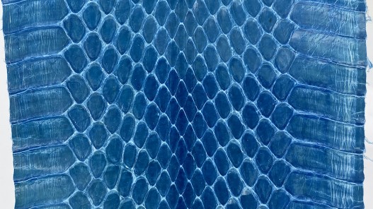 Peau de cuir de serpent véritable - serpent d'eau bleu - accessoire - Cuir en stock