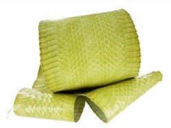 Peau de cuir de serpent véritable - serpent d'eau vert anis - accessoire - Cuir en Stock