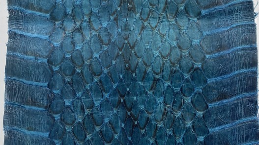 Peau de cuir de serpent véritable - Cobra ciré bleu canard - accessoire - Cuir en stock