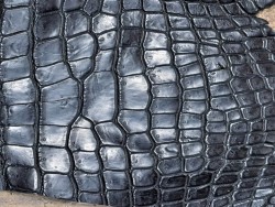 Morceau de cuir crocodile véritable noir mat - Cuir en stock