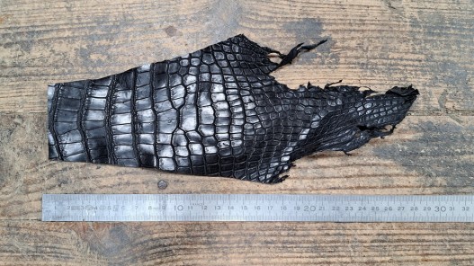 Morceau de cuir crocodile véritable noir mat - cuir en stock