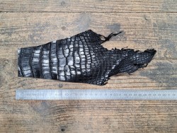 Morceau de cuir crocodile véritable noir mat - cuir en stock