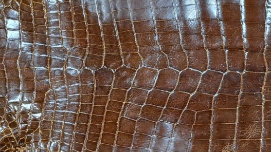 Peau de cuir de crocodile - cuir exotique - brun kaki - bijou - accessoire - Cuir en Stock