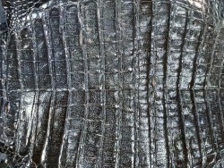 Cuir de crocodile véritable noir bijoux luxe exotique cuirenstock