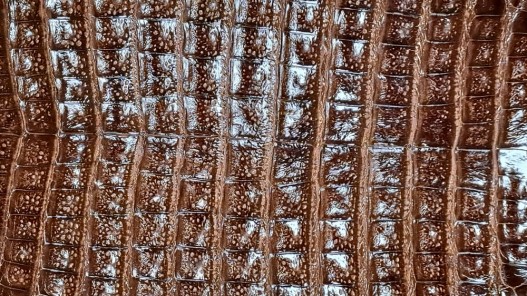Peau entière de cuir de crocodile véritable marron - Cuir en Stock