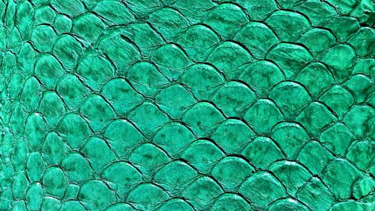 Cuir de poisson Tilapia vert mat maroquinerie bijoux accessoire Cuir en Stock