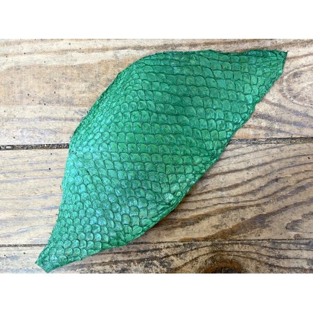 Cuir de poisson Tilapia vert mat maroquinerie bijoux accessoire Cuir en stock