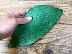 Cuir de poisson Tilapia vert mat maroquinerie bijoux accessoire cuir en stock