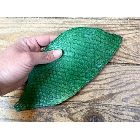 Cuir de poisson Tilapia vert mat maroquinerie bijoux accessoire cuir en stock