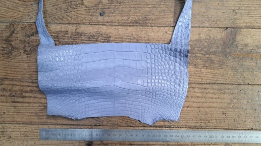 Tête de crocodile véritable - bleu pastel - cuirenstock