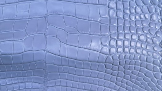 Tête de crocodile véritable - bleu pastel - cuir en stock