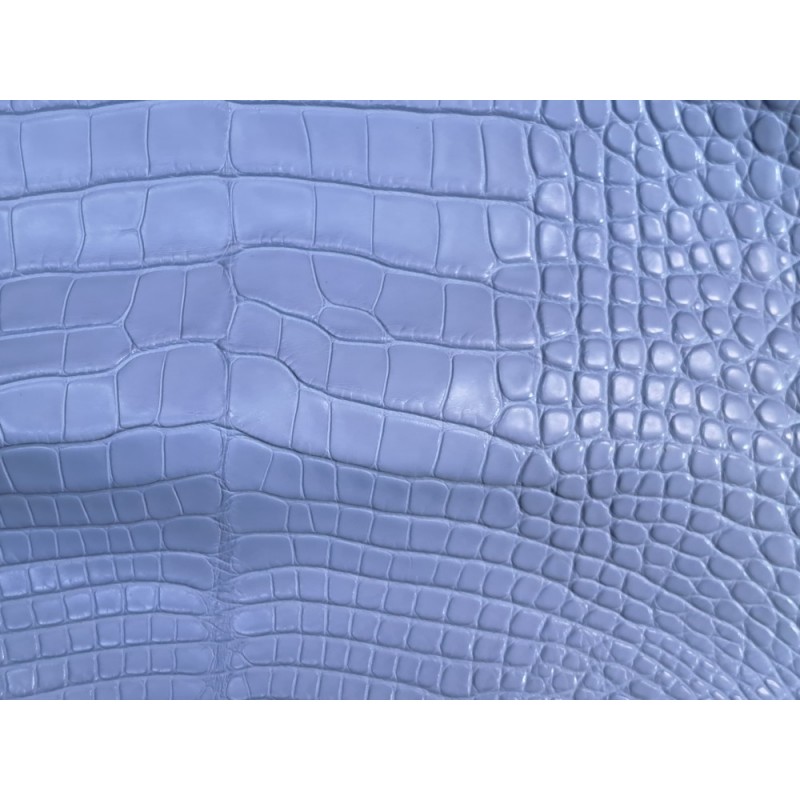 Tête de crocodile véritable - bleu pastel - cuir en stock