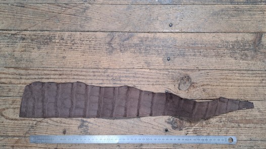 Morceau de cuir de crocodile marron brun - bijou - accessoire - maroquinerie - cuir en stock