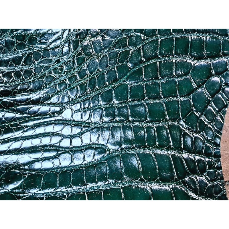 Morceau de peau de cuir de crocodile vert anglais - maroquinerie - bijou - Cuir en Stock