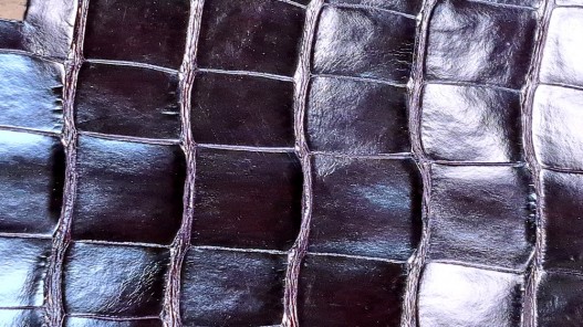 Morceau de cuir crocodile véritable - prune foncé - cuir en stock