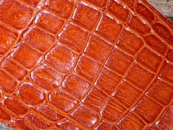 Cuir de crocodile véritable orange - maroquinerie bijoux - Cuir en Stock