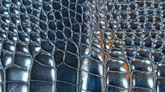 Morceau de cuir crocodile véritable -noir bleuté - cuir en stock