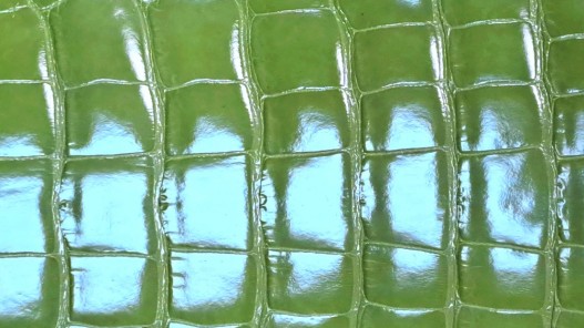 Cuir de crocodile véritable - vert pomme - bijoux ou accessoire - Cuir en Stock
