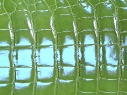 Cuir de crocodile véritable - vert pomme - bijoux ou accessoire - Cuir en Stock