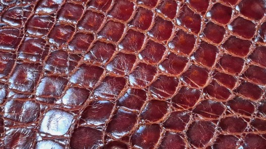 morceau crocodile véritable - brun rouge - Cuirenstock