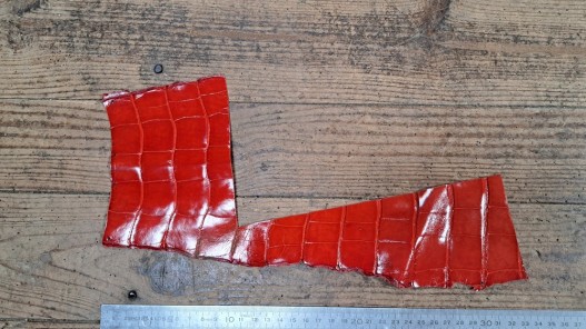 Morceau de cuir exotique - véritable peau de crocodile orange - bijou - accessoire - Cuir en stock