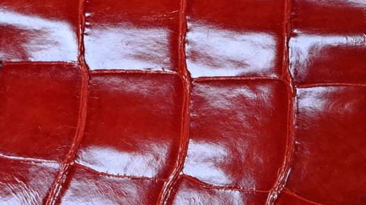 Morceau de cuir exotique - véritable peau de crocodile orange - bijou - accessoire - Cuir en Stock