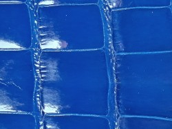 Morceau de cuir crocodile véritable - bleu électrique - cuir en stock