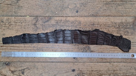 Morceau de cuir crocodile véritable marron mat - cuirenstock