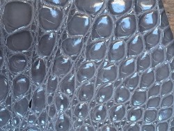 Morceau de cuir crocodile véritable - gris clair - cuir en stock