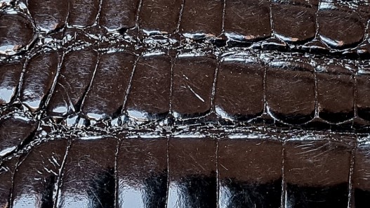Morceau de cuir crocodile véritable - noir - cuirenstock