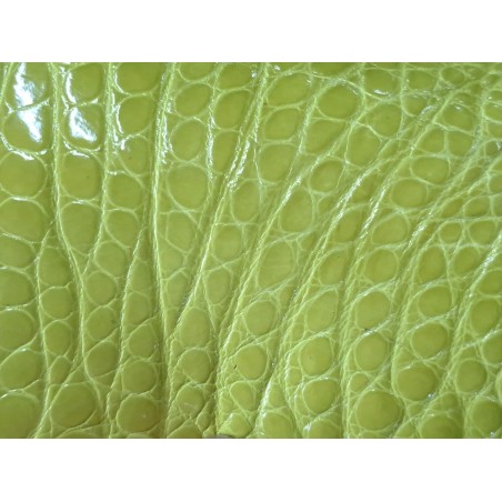 Morceau de cuir crocodile véritable - vert pomme - cuir en stock