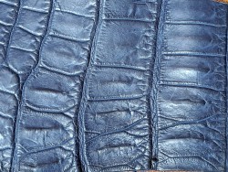 Morceau de cuir crocodile véritable bleu marine mat - cuir en stock