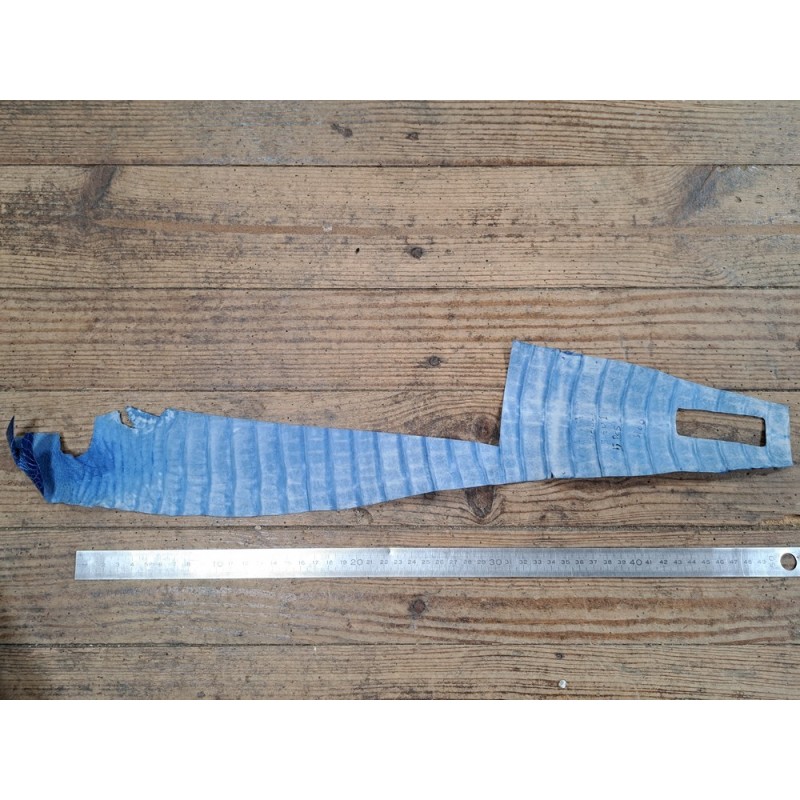 Bracelet En Cuir De Crocodile Vrai - 20/18 Mm, Bleu, Rembourré, Neuf Sans étiquette
