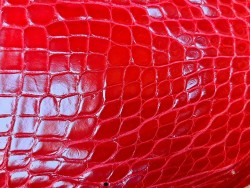 Cuir de crocodile rouge - bijou ou maroquinerie - Cuir en Stock