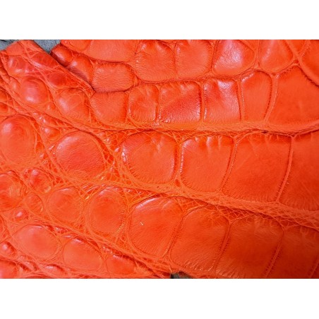 Cuir de crocodile véritable - queue de crocodile - orange mat - maroquinerie bijoux Cuir en stock