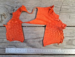 Cuir de crocodile véritable - queue de crocodile - orange mat - maroquinerie bijoux Cuir en stock