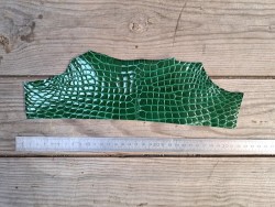 Morceau de cuir de crocodile véritable - vert - bijoux et accessoires - cuir en stock