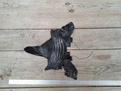 Tête de crocodile - noir mat - accessoire - bijoux - cuirenstock