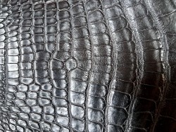 Tête de crocodile - noir mat - accessoire - bijoux - cuir en stock