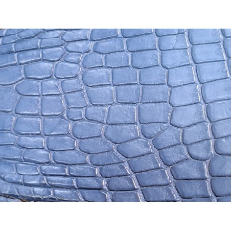 Tête de crocodile véritable - bleu pastel - cuir en stock