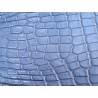 Tête de crocodile véritable - bleu pastel - cuir en stock