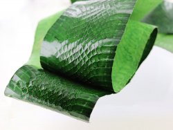 Peau de cuir de serpent - Vert