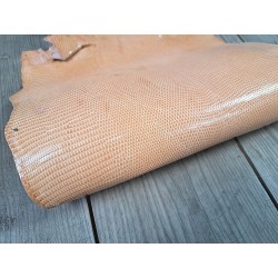 Peau de cuir de lézard - pêche - Cuir en Stock