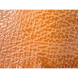 Morceau requin véritable - orange - bijoux-cuirenstock